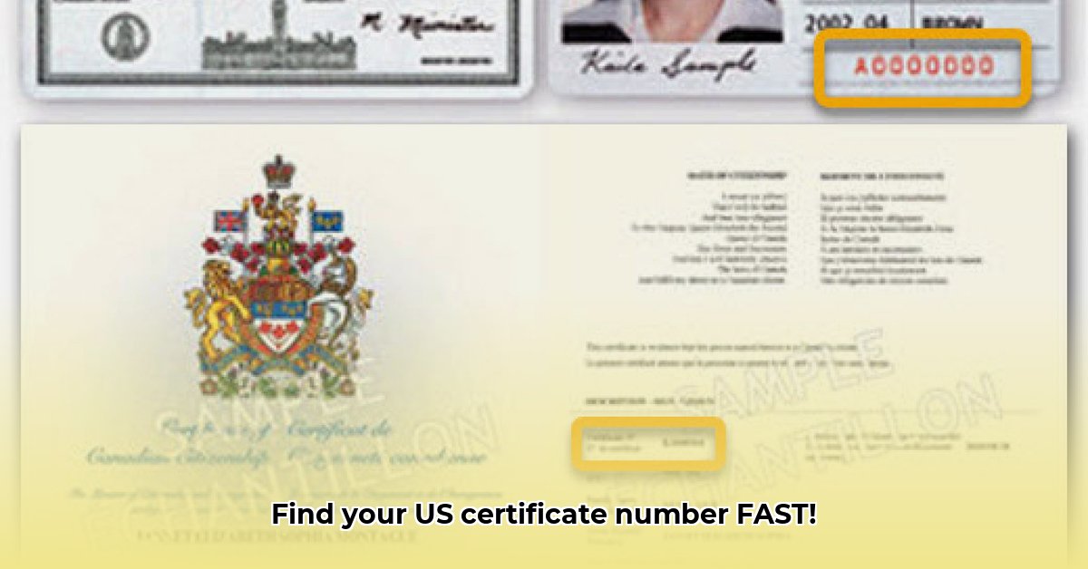 certificate-number
